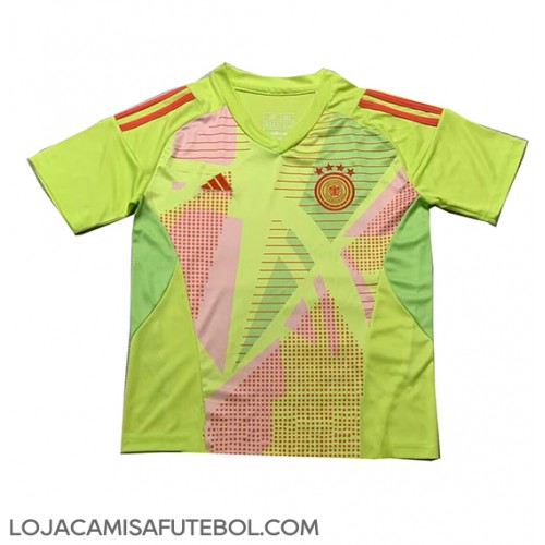 Camisa de Futebol Alemanha Goleiro Equipamento Secundário Europeu 2024 Manga Curta